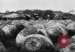 Image of German Navy explosives experts destroy marine mines Germany, 1944, second 3 stock footage video 65675031603