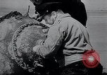 Image of German Navy explosives experts destroy marine mines Germany, 1944, second 15 stock footage video 65675031603