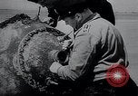 Image of German Navy explosives experts destroy marine mines Germany, 1944, second 17 stock footage video 65675031603