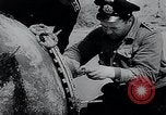 Image of German Navy explosives experts destroy marine mines Germany, 1944, second 19 stock footage video 65675031603