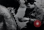 Image of German Navy explosives experts destroy marine mines Germany, 1944, second 22 stock footage video 65675031603