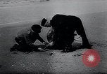 Image of German Navy explosives experts destroy marine mines Germany, 1944, second 24 stock footage video 65675031603
