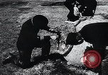 Image of German Navy explosives experts destroy marine mines Germany, 1944, second 36 stock footage video 65675031603