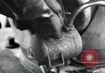 Image of V-1 Buzz Bomb Peenemunde Germany, 1943, second 22 stock footage video 65675031608