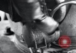 Image of V-1 Buzz Bomb Peenemunde Germany, 1943, second 23 stock footage video 65675031608