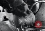 Image of V-1 Buzz Bomb Peenemunde Germany, 1943, second 29 stock footage video 65675031608