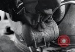 Image of V-1 Buzz Bomb Peenemunde Germany, 1943, second 30 stock footage video 65675031608