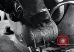 Image of V-1 Buzz Bomb Peenemunde Germany, 1943, second 32 stock footage video 65675031608
