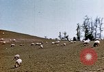 Image Monticello Charlottesville Virginia USA, 1944, de la seconde 8 séquences d'archives historiques vidéo 65675031619