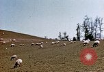 Image Monticello Charlottesville Virginia USA, 1944, de la seconde 9 séquences d'archives historiques vidéo 65675031619