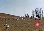 Image Monticello Charlottesville Virginia USA, 1944, de la seconde 10 séquences d'archives historiques vidéo 65675031619