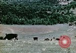 Image Monticello Charlottesville Virginia USA, 1944, de la seconde 12 séquences d'archives historiques vidéo 65675031619