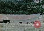 Image Monticello Charlottesville Virginia USA, 1944, de la seconde 14 séquences d'archives historiques vidéo 65675031619