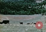 Image Monticello Charlottesville Virginia USA, 1944, de la seconde 17 séquences d'archives historiques vidéo 65675031619