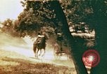 Standbild Thomas Jefferson Virginia United States USA, 1944, aus Sekunde 40 historischem Filmmaterial Videoclip 65675031621
