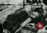 Standbild Deutsche Soldaten Malerei Szenen in Griechenland Griechenland, 1944, aus Sekunde 35 historischem Filmmaterial Videoclip 65675031631