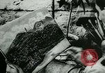 Standbild Deutsche Soldaten Malerei Szenen in Griechenland Griechenland, 1944, aus Sekunde 36 historischem Filmmaterial Videoclip 65675031631
