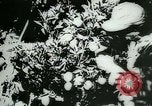 Standbild deutsche Soldaten Griechenland, 1944, aus Sekunde 25 historischem Filmmaterial Videoclip 65675031633