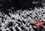 Standbild Blue Division spanische Soldaten Madrid Spanien, 1941, aus Sekunde 61 historischem Filmmaterial Videoclip 65675031636