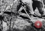 Standbild spanische Bauern Spanien, 1941, aus Sekunde 11 historischem Filmmaterial Videoclip 65675031638