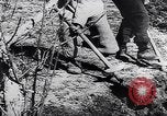 Standbild spanische Bauern Spanien, 1941, aus Sekunde 12 historischem Filmmaterial Videoclip 65675031638