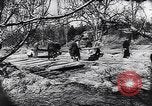 Standbild spanische Bauern Spanien, 1941, aus Sekunde 17 historischem Filmmaterial Videoclip 65675031638