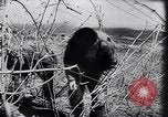 Standbild spanische Bauern Spanien, 1941, aus Sekunde 29 historischem Filmmaterial Videoclip 65675031638