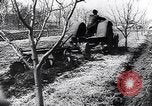 Standbild spanische Bauern Spanien, 1941, aus Sekunde 48 historischem Filmmaterial Videoclip 65675031638