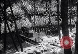 Standbild Segler in der Ausbildung Chicago Illinois USA, 1918, aus Sekunde 55 historischem Filmmaterial Videoclip 65675031677