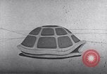 Standbild Zivilschutz United States USA, 1955, aus Sekunde 45 historischem Filmmaterial Videoclip 65675031691