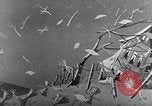 Standbild Zivilschutz United States USA, 1955, aus Sekunde 57 historischem Filmmaterial Videoclip 65675031692