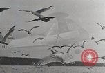 Image avions américains California United States USA, 1945, de la seconde 16 séquences d'archives historiques vidéo 65675031725