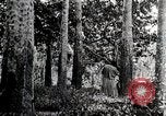 Standbild Luftfahrt United States USA, 1945, aus Sekunde 59 historischem Filmmaterial Videoclip 65675031728
