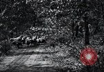 Image of farmland United States USA, 1928, second 10 stock footage video 65675031731