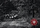 Image of farmland United States USA, 1928, second 14 stock footage video 65675031731
