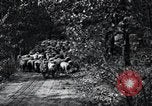Image of farmland United States USA, 1928, second 16 stock footage video 65675031731