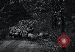Image of farmland United States USA, 1928, second 19 stock footage video 65675031731
