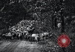Image of farmland United States USA, 1928, second 20 stock footage video 65675031731