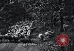 Image of farmland United States USA, 1928, second 22 stock footage video 65675031731
