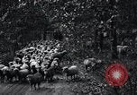Image of farmland United States USA, 1928, second 23 stock footage video 65675031731