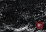 Image of farmland United States USA, 1928, second 29 stock footage video 65675031731