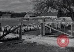Image of farmland United States USA, 1928, second 61 stock footage video 65675031731