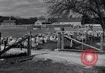 Image of farmland United States USA, 1928, second 62 stock footage video 65675031731