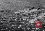 Image of surfboards United States USA, 1920, second 10 stock footage video 65675031733
