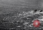 Image of surfboards United States USA, 1920, second 11 stock footage video 65675031733