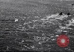 Image of surfboards United States USA, 1920, second 15 stock footage video 65675031733