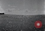 Image of surfboards United States USA, 1920, second 27 stock footage video 65675031733
