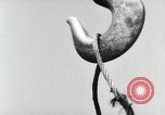 Image of German construction Wiesbaden Germany, 1954, second 38 stock footage video 65675031778