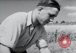 Image of German farmers harvesting oats Wiesbaden Germany, 1954, second 10 stock footage video 65675031781