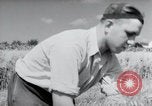 Image of German farmers harvesting oats Wiesbaden Germany, 1954, second 14 stock footage video 65675031781